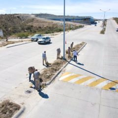 Servicios Públicos inició la rehabilitación y reforestación del Camellón en la avenida Forjadores de SJC