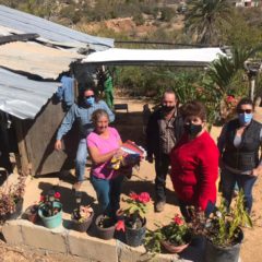 Ante bajas temperaturas entrega DIF Los Cabos cobijas a familias de San Felipe