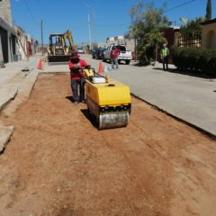 Repara Obras Públicas baches en la colonia Palmas Homex en CSL