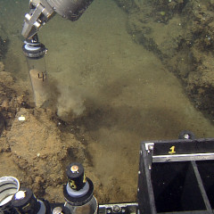 VOLCÁN SUBMARINO, DORSAL DE ALARCÓN EN EL MAR DE CORTÉS.