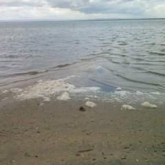 CONTAMINACIÓN DEL MAR UNA DE LAS GRANDES AMENAZAS A LA QUE SE ENFRENTAN LAS COSTAS DE BCS.