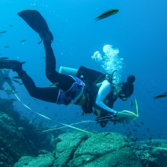 INVESTIGADOR DE LA UABCS COLABORARÁ EN PROYECTO DE NATIONAL GEOGRAPHIC