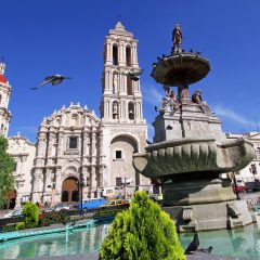 OFRECE TURISSSTE DESCUENTOS DE HASTA DEL 50% EN TRANSPORTE TERRESTRE