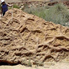 “DEBEMOS APROVECHAR EL PATRIMONIO GEOLÓGICO MINERO TAMBIÉN CON FINES DIDÁCTICOS”: CATEDRÁTICO UABCS