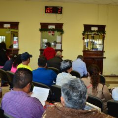 REGISTRA NUTRIDA CONCURRENCIA AREA DE RECAUDACIÓN DE LA DELEGACIÓN DE CSL