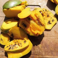 DECOMISAN Y DESTRUYEN CARGAMENTO DE MANGO INFECTADO CON LARVA DE MOSCA