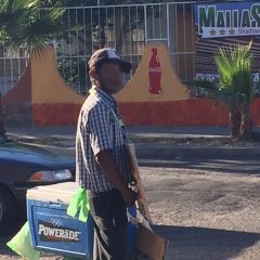 COEPRIS LLAMA A LA CIUDADANÍA A NO CONSUMIR PESCADO O MARISCO VENDIDO EN LA VÍA PÚBLICA