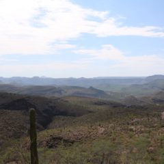 LEJOS DEL MUNDANAL RUIDO