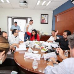 CON COMITÉ DE ADQUISICIONES SERÁ MÁS EFICAZ EL SUMINISTRO DEL AGUA EN CABO SAN LUCAS: ARMIDA CASTRO