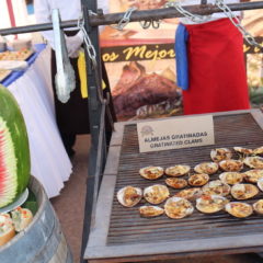 “FESTIVAL DE LA ALMEJA CHOCOLATA” EL MEJOR EVENTO GASTRONÓMICO DE LA ZONA NORTE DE BCS