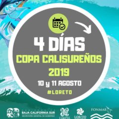 LISTOS PARA LA GRAN FINAL DEL TORNEO DE PESCA “DOS MARES COPA CAMPEONES CALISUREÑOS 2019”