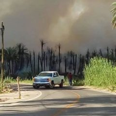 CASI 72 HECTÁREAS LAS AFECTADAS POR INCENDIO DE PALMAR EN SAN IGNACIO