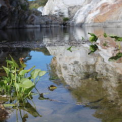 SE ABRIRÁN 4 RUTAS ECOTURÍSTICAS EN LOS CABOS