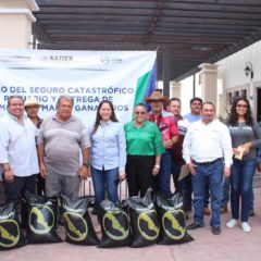 CELEBRA ARELY ARCE EL APOYO AL SECTOR GANADERO EN LORETO POR PARTE DEL GOBIERNO ESTATAL