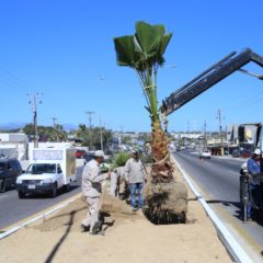 SERVICIOS PÚBLICOS  IMPLEMENTA PROGRAMA DE LIMPIEZA Y REFORESTACIÓN