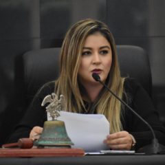 EN VIGOR NUEVA LEY DE VIDEOVIGILANCIA PARA BCS: DIPUTADA DANIELA RUBIO