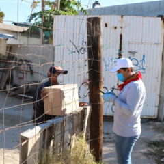 MÁS SUDCALIFORNIANOS SE BENEFICIAN CON EL PROGRAMA ALIMENTARIO EMERGENTE