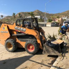 Más de 35 toneladas de Ramas y Cacharros se retiran diariamente de las calles de Los Cabos