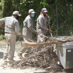 Más de 380 Toneladas de Ramas y Cacharros se han retirado de las calles de Los Cabos