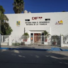 Imparte Pamar Los Cabos cursos y talleres virtuales