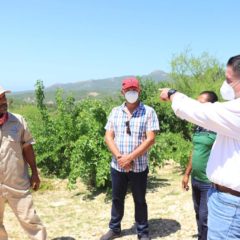 Gobierno de Los Cabos garantiza agua potable en la comunidad de La Candelaria