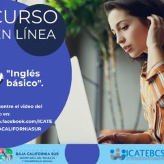 BUENA RESPUESTA A CURSOS EN LINEA DEL INSTITUTO DE CAPACITACION PARA LOS TRABAJADORES