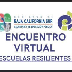 SEP ORGANIZA FORO VIRTUAL SOBRE LA ENSEÑANZA DURANTE RESGUARDO SANITARIO