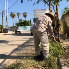 Continúa el mejoramiento de la imagen urbana en San José del Cabo