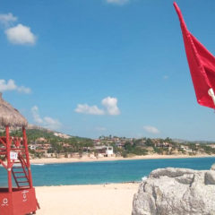 ¡No te arriesgues en la playa! Conoce los significados de las banderas colocadas por ZOFEMAT Los Cabos