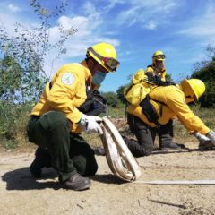 TURISMO DE BCS IMPULSA LA PREVENCIÓN DE INCENDIOS FORESTALES