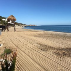 Hay personal de guardia en las playas de Los Cabos: Javier Ontiveros