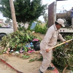 Panteones de Los Cabos permanecerán abiertos esta temporada decembrina