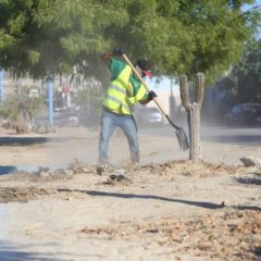 Constante el mantenimiento de camellones en Los Cabos; se han rehabilitado más de 36 km