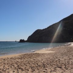 Continúa Zofemat Los Cabos con la limpieza de playas