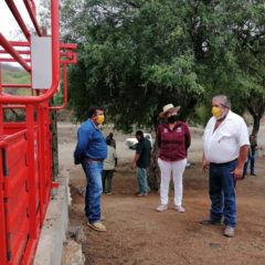 Durante 2020, Desarrollo Económico entregó más de 4.5 millones de pesos en apoyos agrícolas y pecuarios