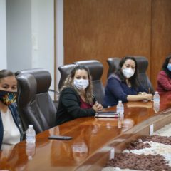 Atender de manera eficaz las denuncias por violencia hacia las mujeres prioridad para el Gobierno de Los Cabos