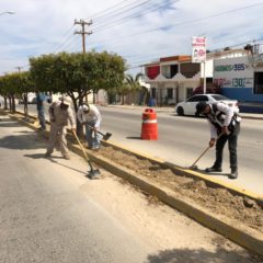 El mejoramiento de la imagen urbana sigue siendo prioridad para el Gobierno que preside Lorena Cortés Torralbo