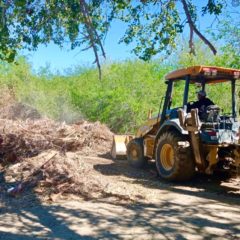 Realizan trabajos de saneamiento y limpieza en el Estero de San José del Cabo