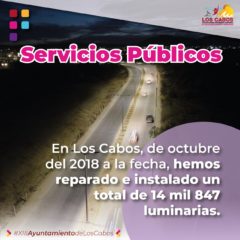 Casi 15 mil luminarias han sido habilitadas en Los Cabos