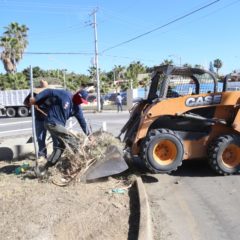 Gobierno de Los Cabos impulsa gran jornada de limpieza en el canal pluvial de Miramar en CSL