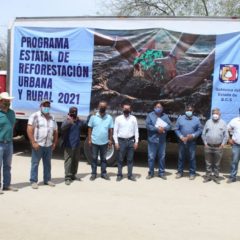 ARRANCA EN BCS PROGRAMA DE REFORESTACIÓN RURAL Y URBANA 2021