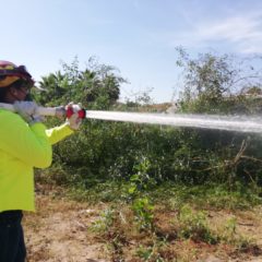 LLAMA GOBIERNO ESTATAL A PREVENIR INCENDIOS FORESTALES