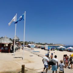 Esta semana Santa, en Los Cabos hubo saldo blanco