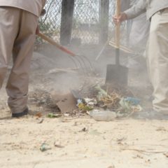 No acumules cacharros y evita la generación de fauna nociva