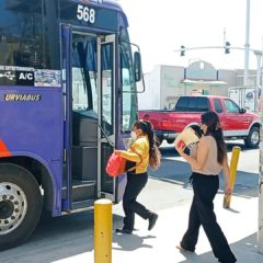 Gobierno de Los Cabos intensifica la vigilancia en el transporte público