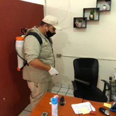 Para evitar contagios de COVID-19, se garantiza que todas las áreas del Ayuntamiento de Los Cabos pasen por el proceso de desinfección