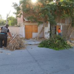 No arriesgues tú salud y evita la acumulación de cacharros en la vía pública