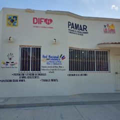 A través de talleres virtuales el Sistema DIF fomenta hábitos positivos en las familias de Los Cabos