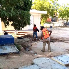 Solucionadas a la brevedad las mínimas afectaciones que dejó la Tormenta Tropical “Enrique” en Los Cabos