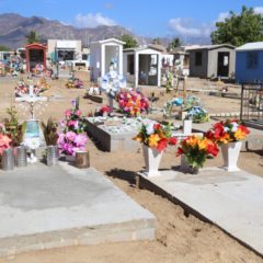 Con la limpieza de panteones, el Gobierno de Los Cabos asegura el bienestar de los visitantes y evita prorliferación de enfermedades